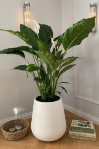 Duża donica ogrodowa 50 cm biała | Lago z półką | Monumo