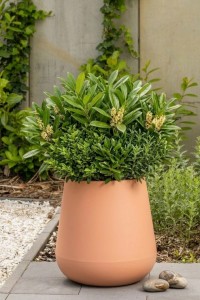 Duża donica ogrodowa 50 cm brzoskwiniowa | Lago z półką | Monumo