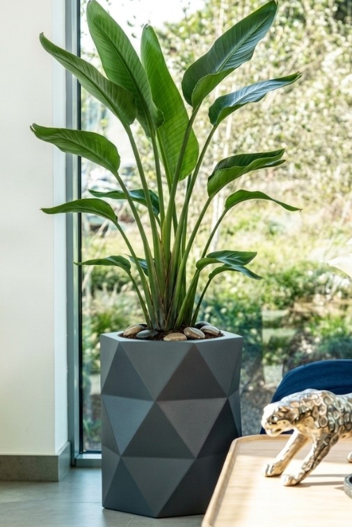 Nowoczesna donica ogrodowa 54 cm antracytowa | Modena z półką | Monumo