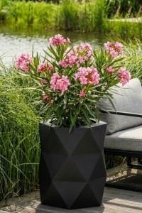 Donica tarasowa geometryczna designerska 54 cm czarna z wyjmowanym wkładem | Modena | Monumo