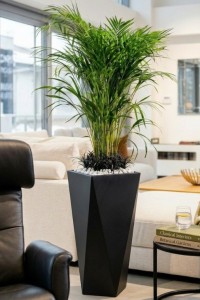 Wysoka donica na taras Vaso z półką 72 cm czarna | Monumo