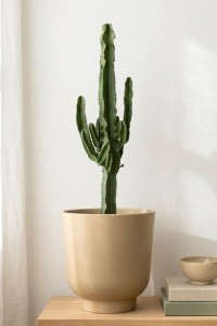 Donica do salonu okrągła 36 cm beżowa | Stevio z półką | Monumo