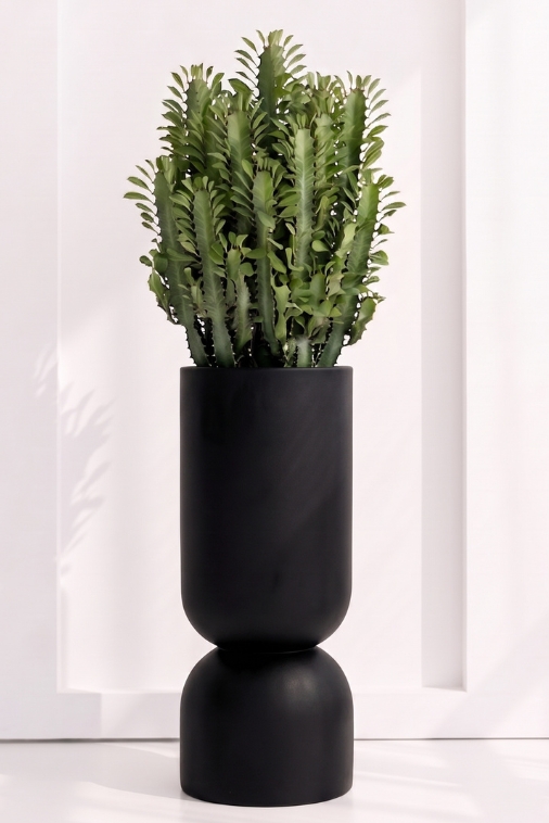 Donica Ogrodowa Monumo Perfetto 100 cm XXL | Czarna | Wysoki Kielich z Półką