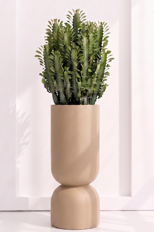 Donica Ogrodowa Monumo Perfetto 100 cm XXL | Beżowa | Wysoki Kielich z Półką