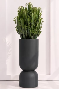 Donica Ogrodowa Monumo Perfetto 100 cm XXL | Antracyt | Wysoki Kielich z Półką