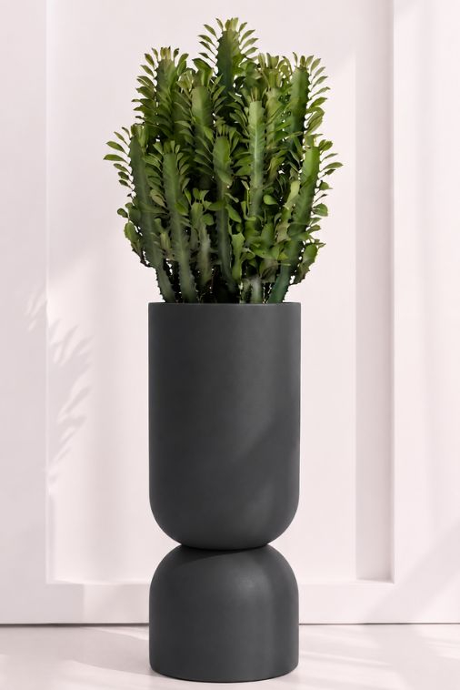 Donica Ogrodowa Monumo Perfetto 100 cm XXL | Antracyt | Wysoki Kielich z Półką