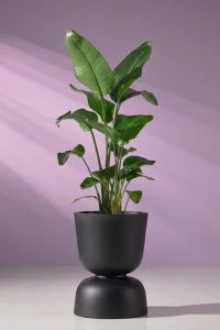 Donica ogrodowa kielich dwustronny 45 cm czarna | Reverso z półką | Monumo