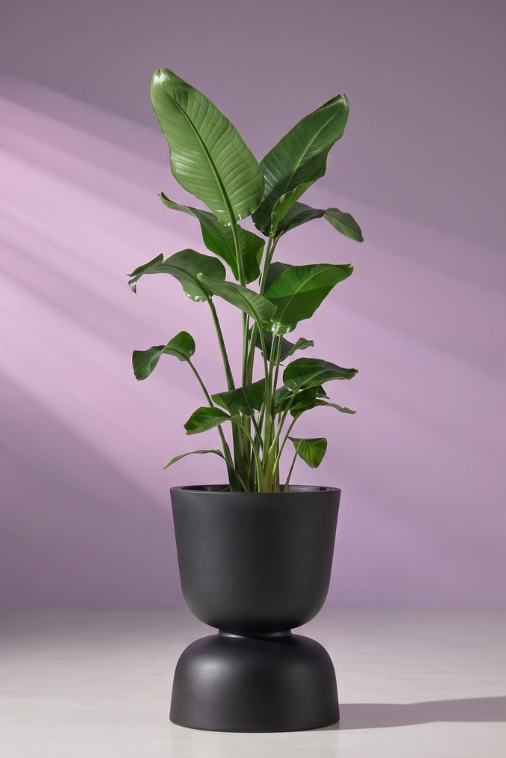 Donica ogrodowa kielich dwustronny 45 cm czarna | Reverso z półką | Monumo