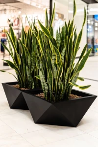 Donica ogrodowa duża szeroka nowoczesna 65 cm czarna | Vendetta pełna | Monumo