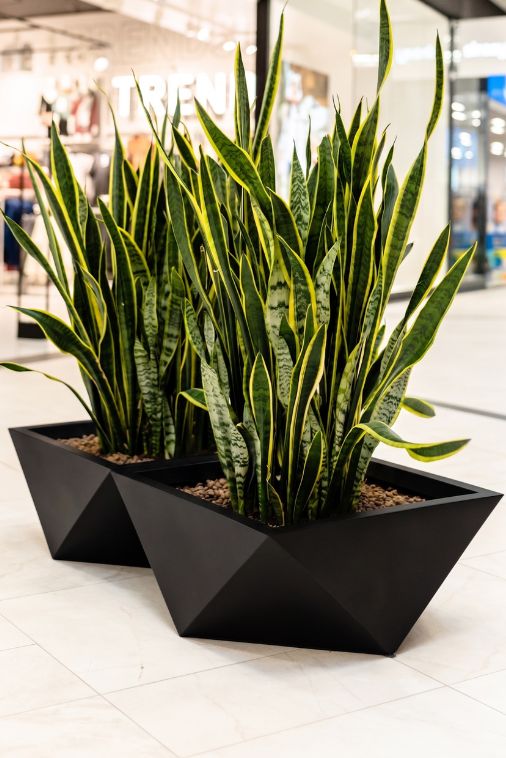 Donica ogrodowa duża szeroka nowoczesna 65 cm czarna | Vendetta pełna | Monumo