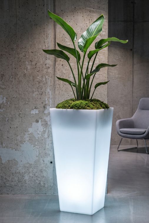 Smukła podświetlana donica LED 110 cm – barwa zimna | Slim Line M light | Monumo