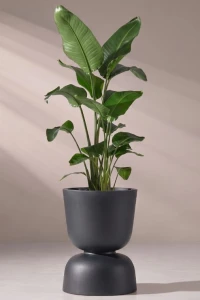 Donica ogrodowa kielich dwustronny 45 cm antracyt | Reverso z półką | Monumo
