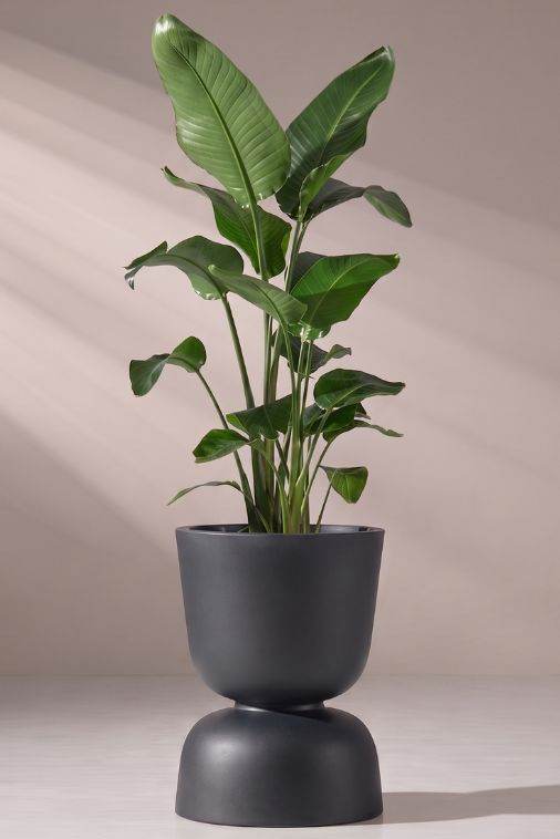 Donica ogrodowa kielich dwustronny 45 cm antracyt | Reverso z półką | Monumo