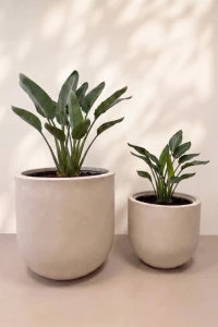 Zestaw donic ogrodowych 50 i 70 cm kaszmirowy beż – 2 szt. | Primo | Monumo