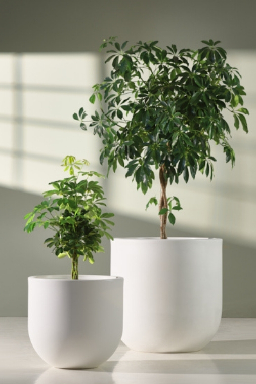 Zestaw donic ogrodowych 50 i 70 cm białych – 2 szt. | Primo | Monumo