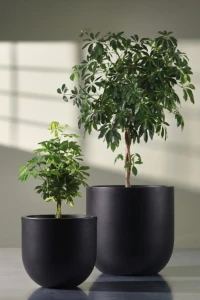 Zestaw donic ogrodowych 50 i 70 cm czarnych – 2 szt. | Primo | Monumo
