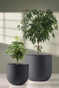 Zestaw donic ogrodowych 50 i 70 cm antracytowych – 2 szt. | Primo | Monumo
