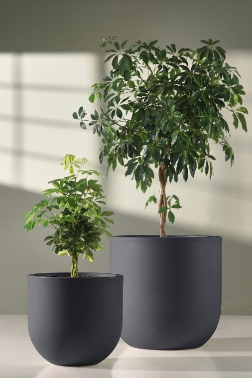 Zestaw donic ogrodowych 50 i 70 cm antracytowych – 2 szt. | Primo | Monumo