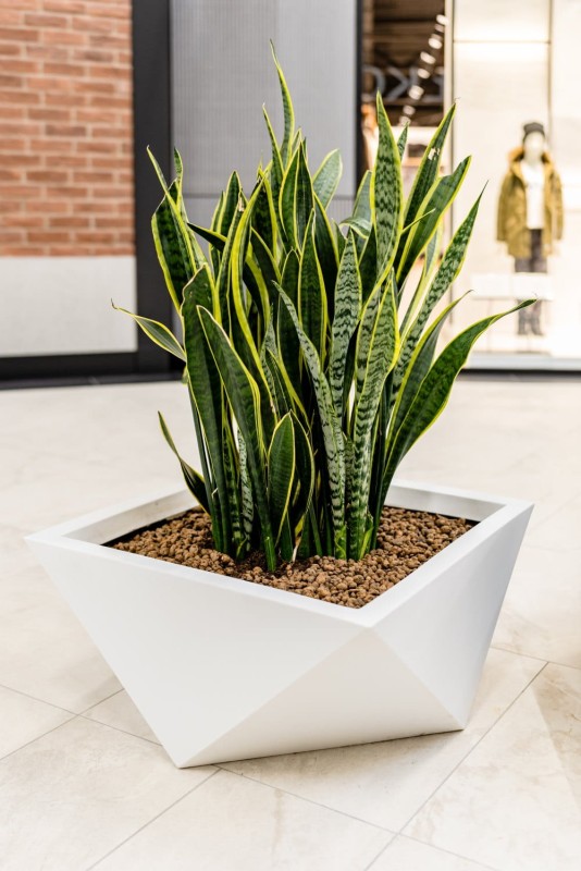 Donica ogrodowa duża szeroka nowoczesna 65 cm biała | Vendetta pełna | Monumo