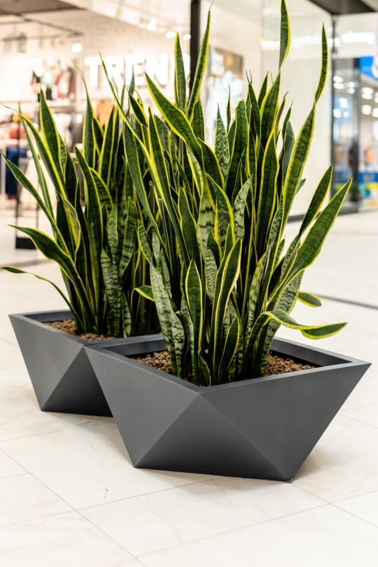 Donica ogrodowa duża szeroka nowoczesna 65 cm antracytowa | Vendetta z półką | Monumo
