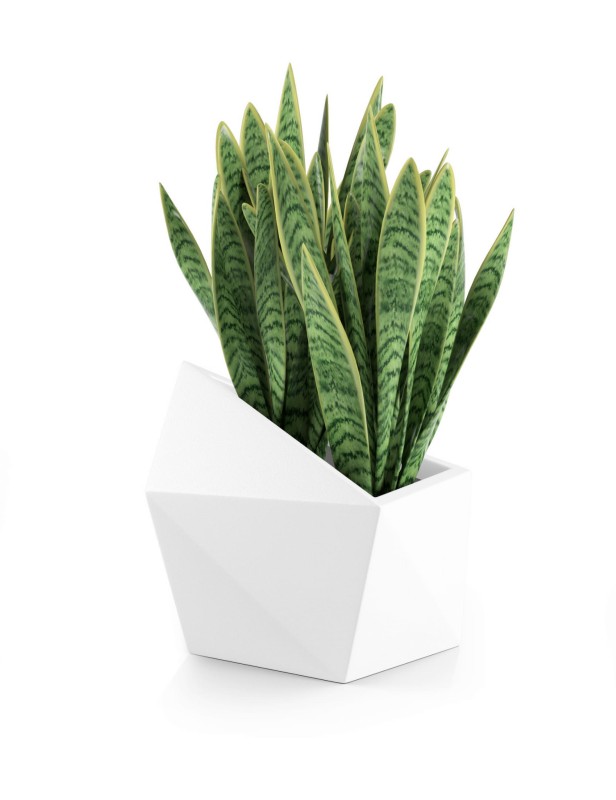 Donica tarasowa asymetryczna nowoczesna 47 cm biała | Astro pełna | Monumo