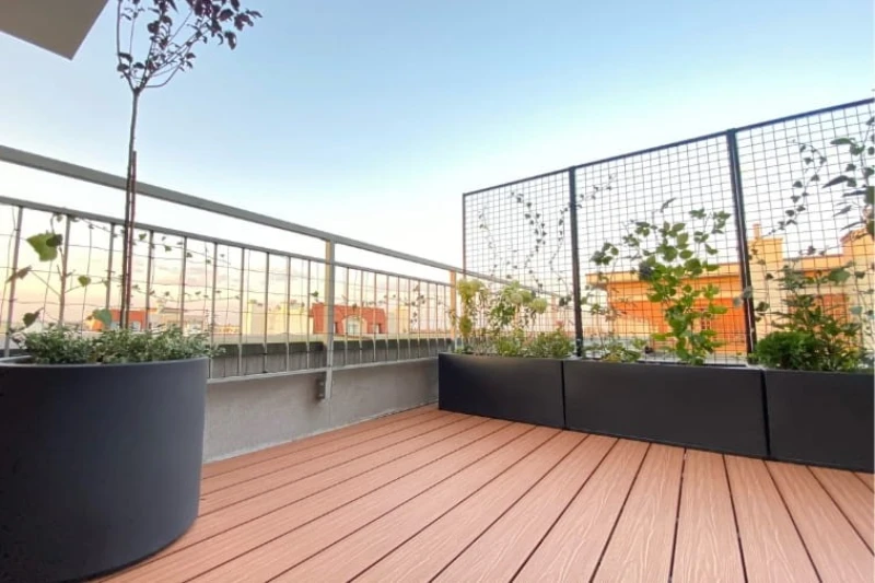 Kwiaty na balkon słoneczny