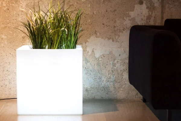 Elegancka donica LED podświetlana w nowoczesnym wnętrzu