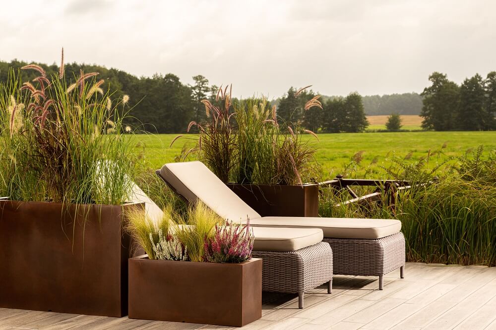 Idealna doniczka dla Twojej monstery: praktyczne wskazówki, jak wybrać najlepsze rozwiązanie
