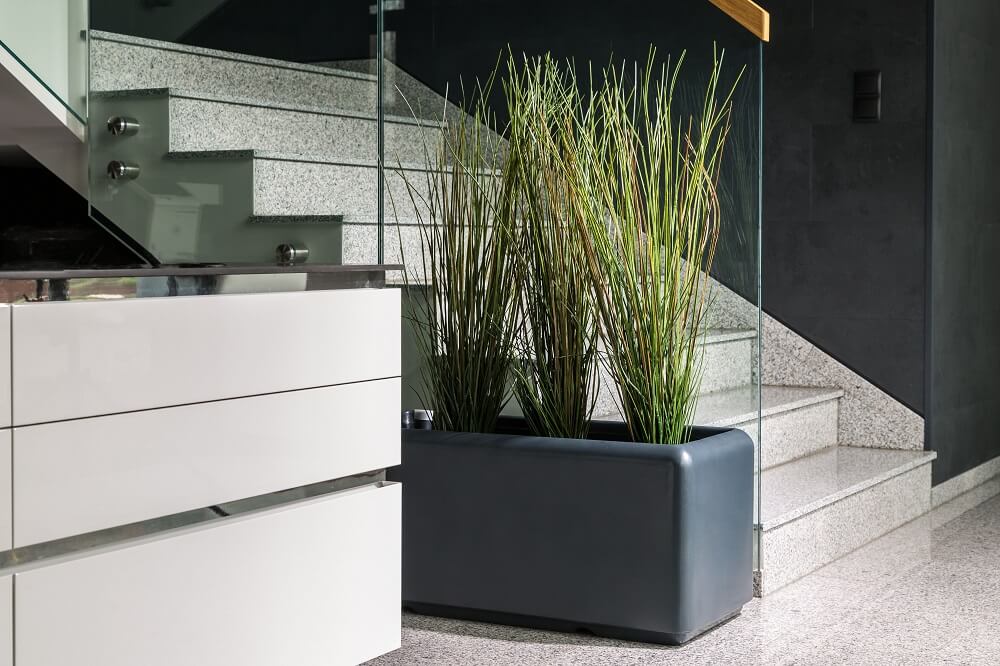 Jakie rośliny najlepiej sadzić w bardzo dużych donicach?