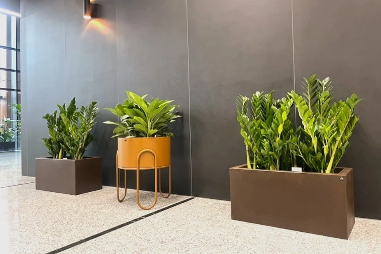 donice corten effect