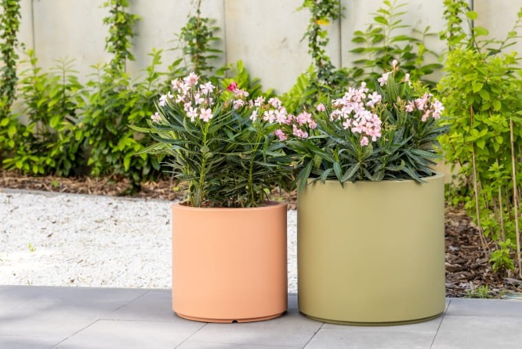 Donica Cavo H50 jako elegancka dekoracja