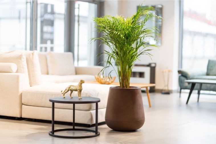 donica do wnętrz w salonie