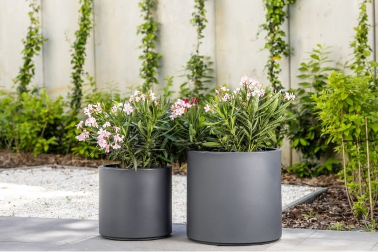 Niska i stabilna donica Cavo 60x40H na patio