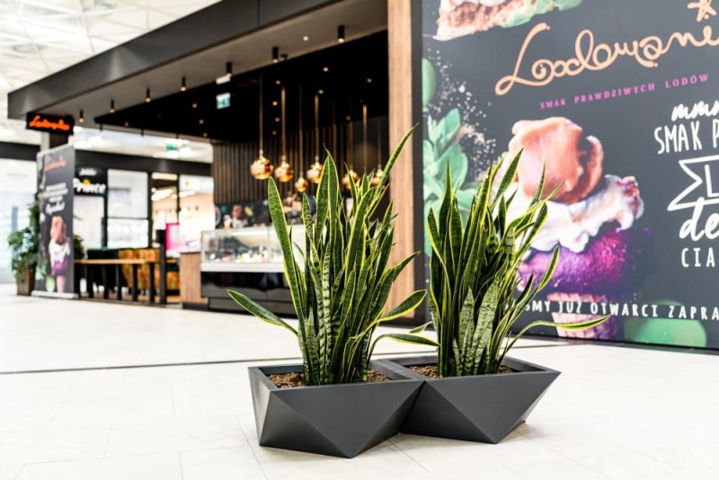 Designerska donica krystaliczna Vendetta jako ekskluzywna dekoracja w galerii handlowej
