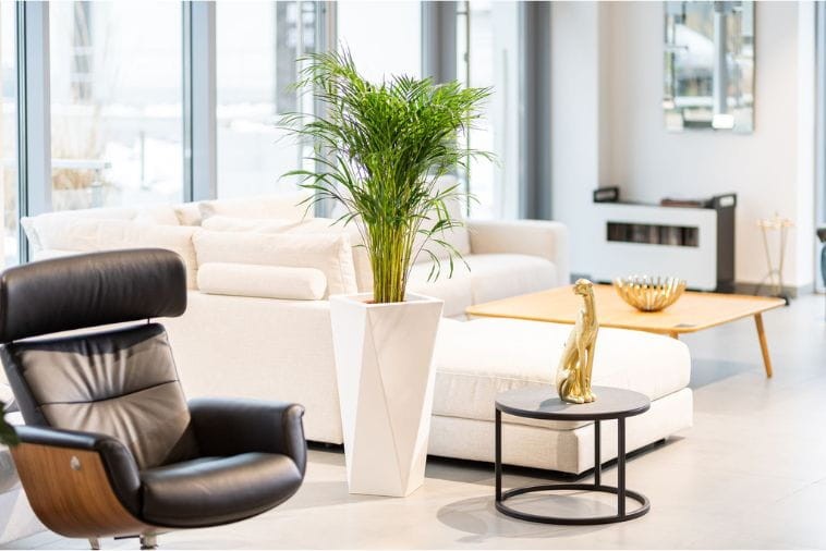 wysoka donica w domu