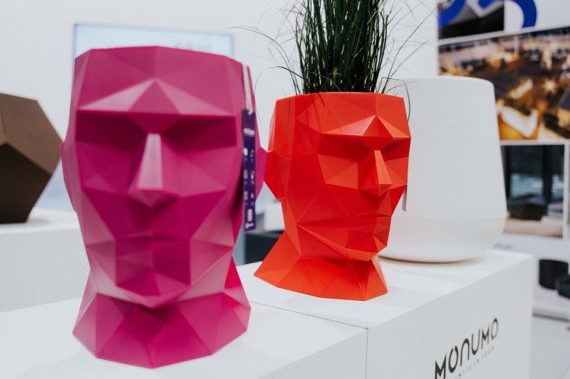 donica różowa głowa