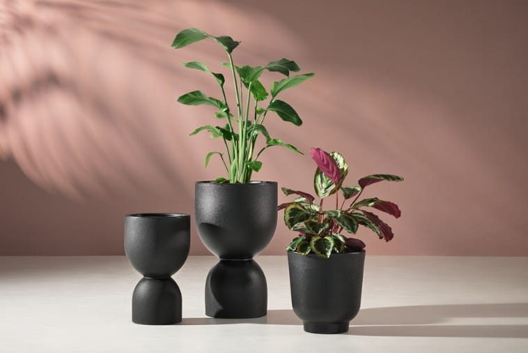 Donice Kielich czarne