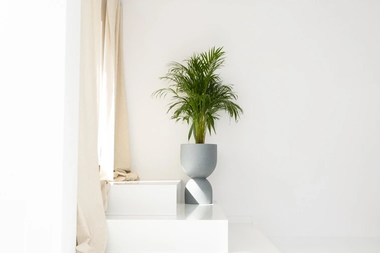 Wysoka donica kielichowa