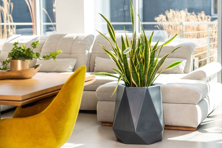 Ozdobna donica do pokoju Flavi