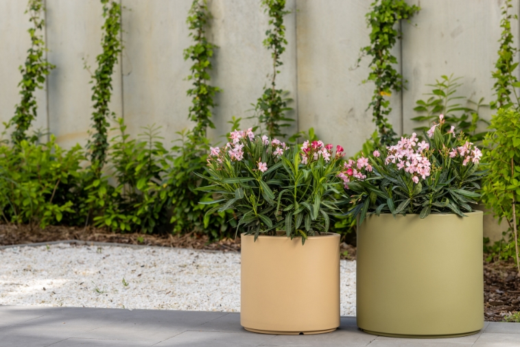 Klasyczna Okrągła Donica do biura Monumo Cavo