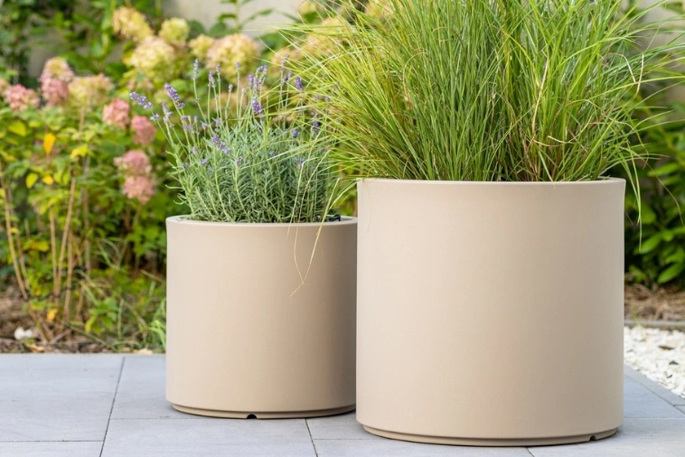 Klasyczna Okrągła Donica do biura Monumo Cavo