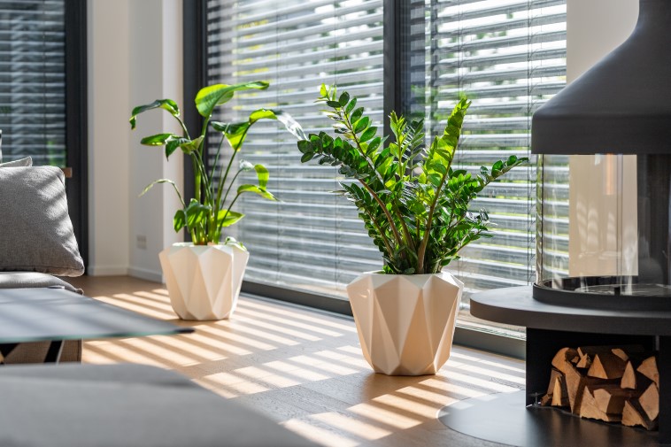 Eleganckie donice do salonu