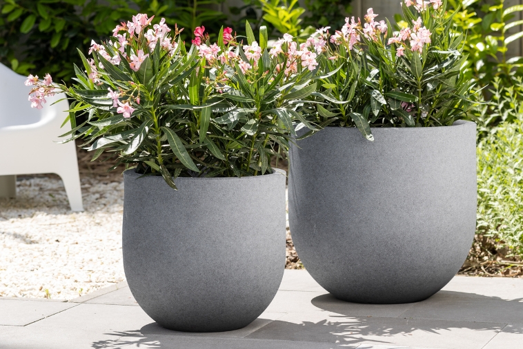 Klasyczna Okrągła Donica do biura Monumo Primo 50