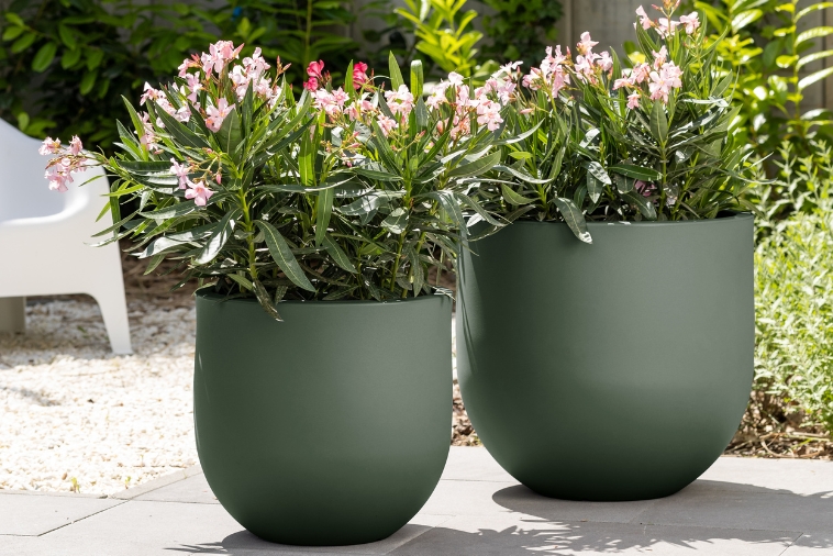 Klasyczna Okrągła Donica do biura Monumo Primo 50