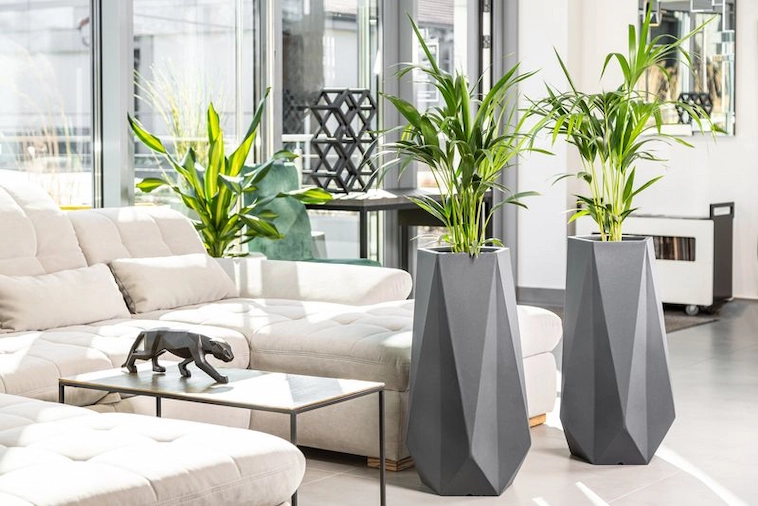 Nowoczesne donice do salonu Siena antracyt