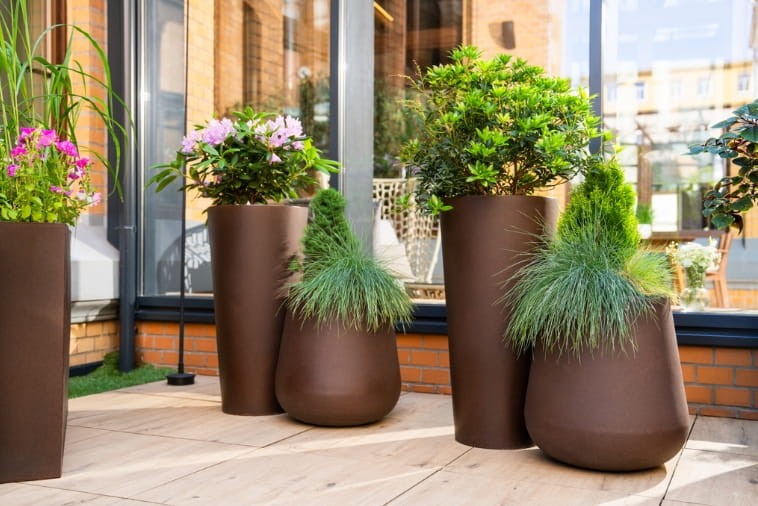 Jakie krzewy posadzić w donicy na tarasie?