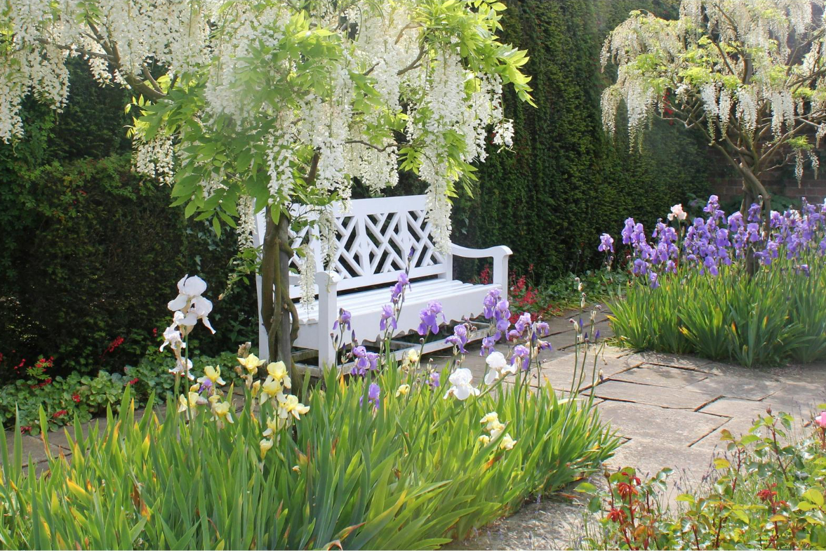 Ogród w stylu Hamptons – jak urządzić?