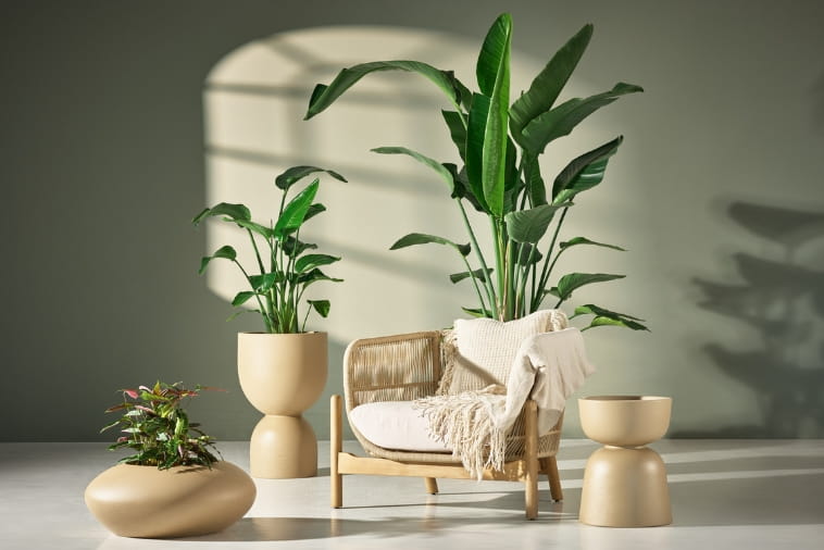 Modne donice w 2026 roku - Trendy w kolorach i kształtach