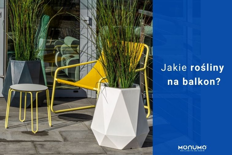 Jakie rośliny na balkon?