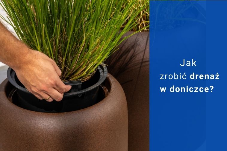 Jak zrobić drenaż w doniczce?